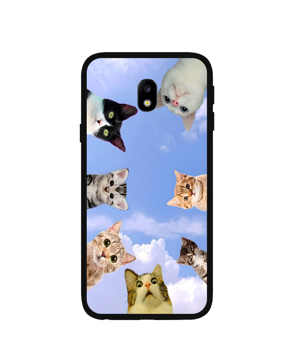 Cats In The Clouds